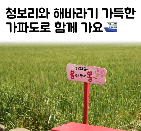 가파도정기여객선