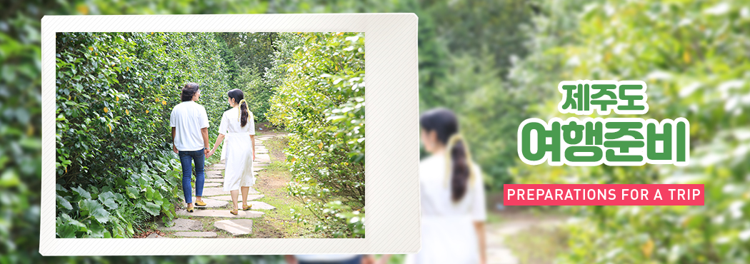 여행준비