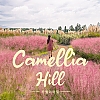 카멜리아 힐(유효기간 ~2025.12.31까지)