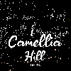 카멜리아 힐