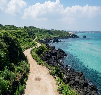 제주도 애견동반 비행기 좌석 선택 가이드: 반려견과 보호자 모두 편안한 자리 찾기