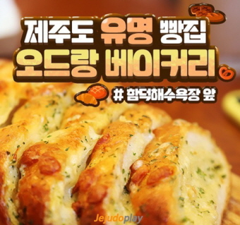 제주도 유명빵집 오드랑 베이커리