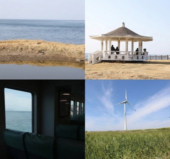 제주도 가족여행 코스 완벽 가이드: 현지인 추천 숨은 명소와 맛집 총정리