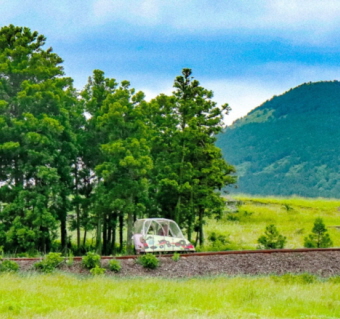 제주 레일바이크 리얼후기 2