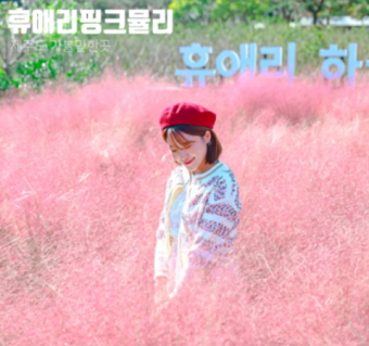 휴애리 리얼후기