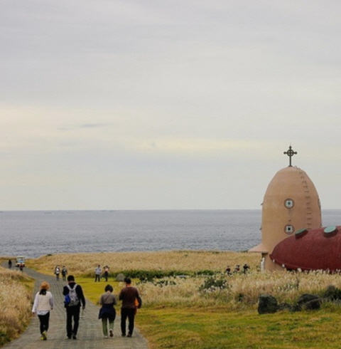 마라도 원데이 투어 리얼후기 2