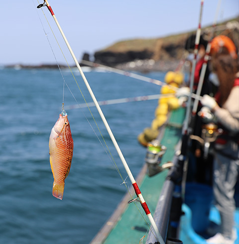 차귀도 배낚시