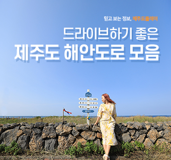 제주도 해안도로 모음
