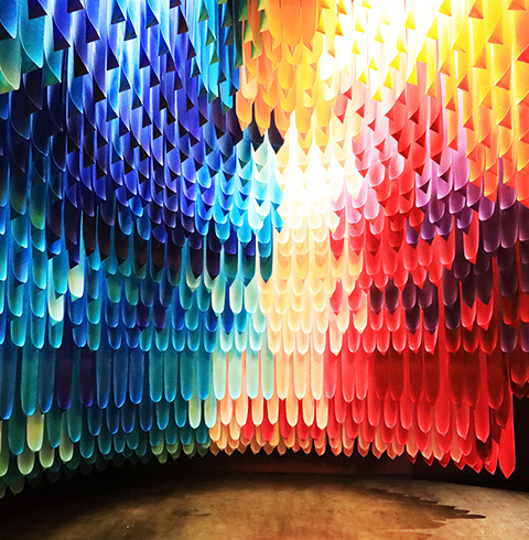 버디프렌즈 플래닛 생태문화전시관