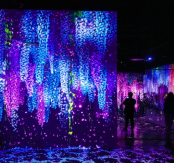 블로거 미스터트래블님이 다녀온 제주 아르떼 뮤지엄 리얼후기