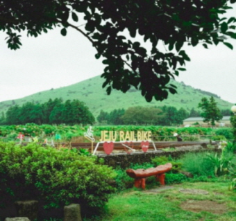제주 레일바이크 리얼후기 3