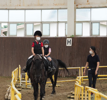 제주 승마클래스&라온주 동물원 리얼후기