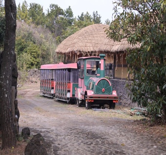 제주도 비 오는 날 여행 가이드: 실내 명소와 지역별 날씨 대비법