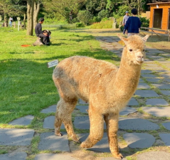 화조원 리얼후기 3