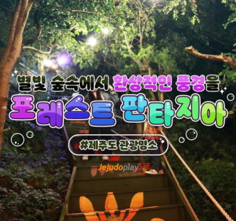 포레스트 판타지아 별빛숲속 야간권 