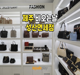 제주도 성산 실내 여행지 완벽 가이드 | 비 오는 날에도 즐거운 명소 추천